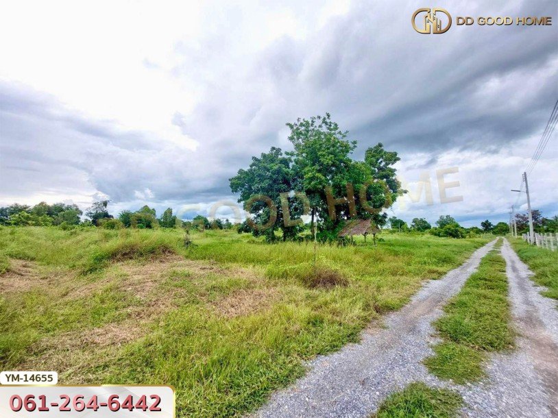 ที่ดินขนาด 4 ไร่ ใกล้วัดมาบพะยอม สุพรรณบุรี-3
