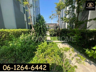 คอนโด ดิ ไอริส บางใหญ่ ใกล้ MRT คลองบางไผ่-13