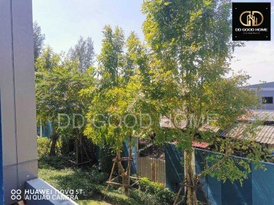 ขายคอนโดติดรถไฟฟ้าราคาถูก!! อยู่รวย นวลจันทร์ บึงกุ่ม-10