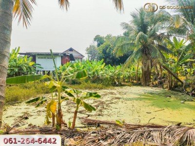 ขายบ้านเดี่ยวชั้นเดียวพร้อมที่ดิน 3 งาน 24 ตารางวา ตำบลยางซ้าย จังหวัดสุโขทัย ราคาพิเศษ!!