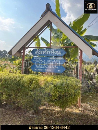 ที่ดิน เชียงราย 37 ไร่ ทำเลดีมากกกกกก