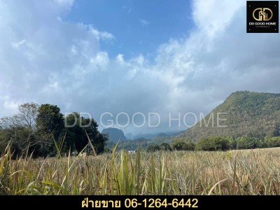 ที่ดิน เชียงราย 37 ไร่ ทำเลดีมากกกกกก