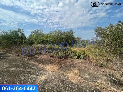 ที่ดินเปล่าขนาด 1 ไร่ 12 วา บางหลวง บางเลน นครปฐม