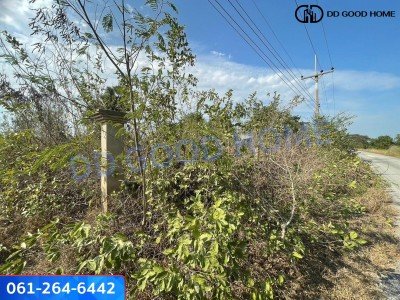 ที่ดินเปล่าขนาด 1 ไร่ 12 วา บางหลวง บางเลน นครปฐม