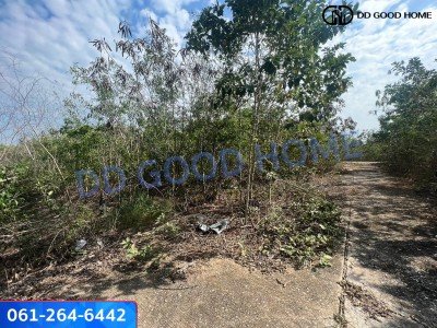 ที่ดินเปล่าขนาด 1 ไร่ 12 วา บางหลวง บางเลน นครปฐม