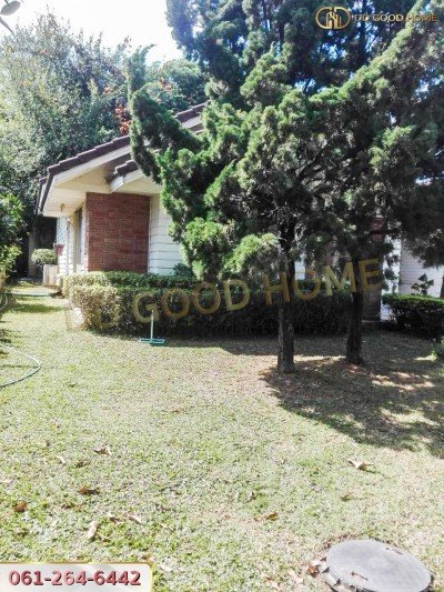 ขายที่ดินสวนผลไม้ พร้อมสิ่งปลูกสร้าง ชุมพร