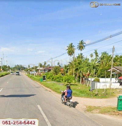 ขายที่ดินสวนผลไม้ พร้อมสิ่งปลูกสร้าง ชุมพร