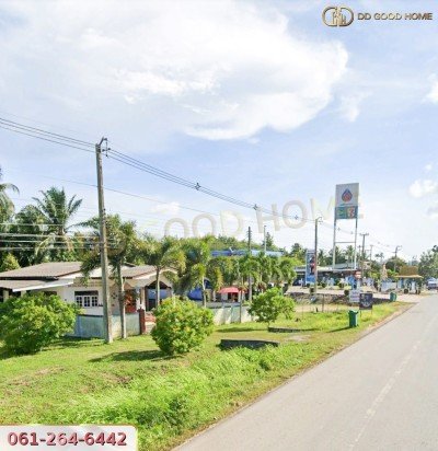 ขายที่ดินสวนผลไม้ พร้อมสิ่งปลูกสร้าง ชุมพร