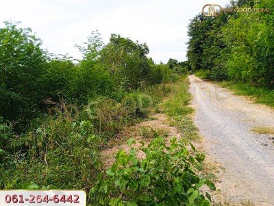 ที่ดินเปล่าถมแล้ว 3 ไร่ ต.บางเลน อ.บางเลน จ.นครปฐม