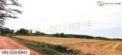 ที่ดินเปล่า 21 ไร่ 3 งาน 55 ตร.ว. ต.ศิลาลอย อ.สามร้อยยอด