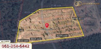 ที่ดินขนาด 14 ไร่ 314 ตร.ว. ใกล้โรงเรียนบ้านท่ามะริด ท่ายาง เพชรบุรี