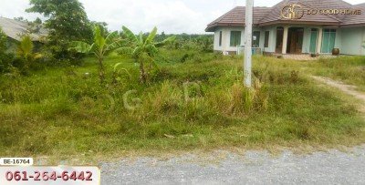 ที่ดิน อ.พระพรหม 1 ไร่ 197 ตร.ว. นครศรีธรรมราช