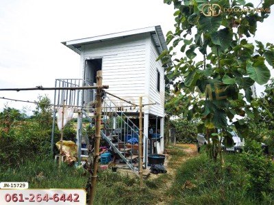 ที่ดิน อ.ด่านมะขามเตี้ย 113 ตร.ว. พร้อมสิ่งปลูกสร้าง ถ.ยางเกาะ-ลำทราย กาญจนบุรี