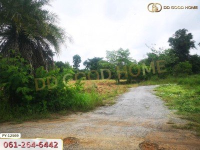 ที่ดิน 1 ไร่ 35 ตร.ว.ใกล้ ถ.ราชสีมา-โชคชัย นครราชสีมา