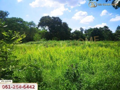 ที่ดิน 310.3 ตร.ว.ใกล้ ถ.ราชสีมา-โชคชัย นครราชสีมา