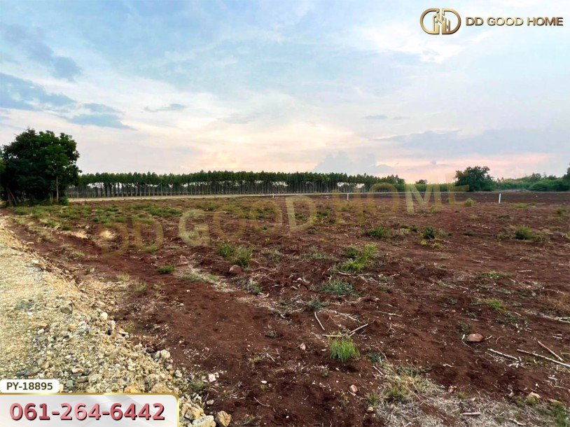 ที่ดิน อ.พยุหะคีรี 5 ไร่ 34.8 ตร.ว. นครสวรรค์-6