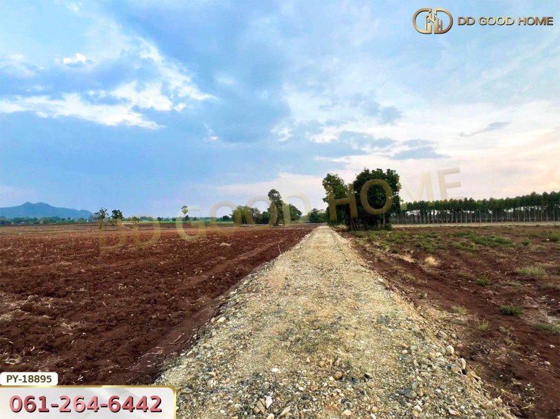 ที่ดิน อ.พยุหะคีรี 5 ไร่ 34.8 ตร.ว. นครสวรรค์-5