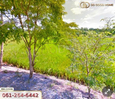 ที่ดินเปล่า 2 ไร่ 190 ตร.ว. ต.คลองขวาง อ.ไทรน้อย