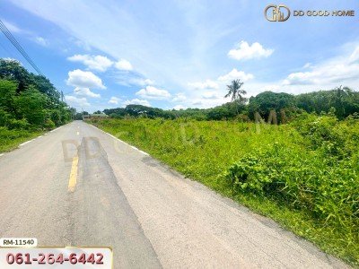 ที่ดินเปล่า 82 ตร.ว. ต.มหาสวัสดิ์ อ.พุทธมณฑล ที่พร้อมสร้างบ้าน