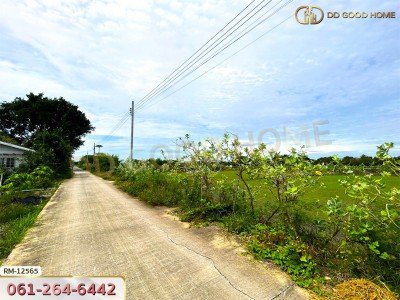 ที่ดินเปล่า 198.9 ตร.ว. ต.หนองเพรางาย อ.ไทรน้อย