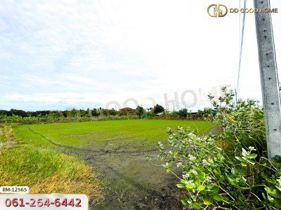 ที่ดินเปล่า 198.9 ตร.ว. ต.หนองเพรางาย อ.ไทรน้อย